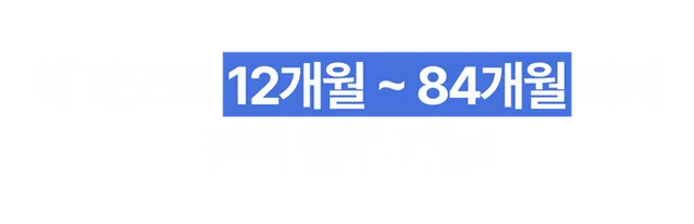 12개월84개월.png